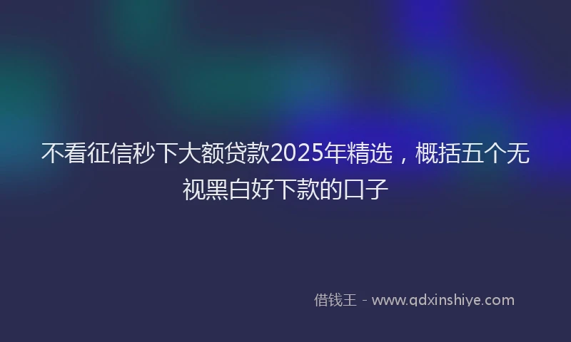 不看征信秒下大额贷款2025年精选，概括五个无视黑白好下款的口子