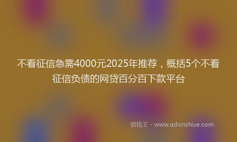 不看征信急需4000元2025年推荐，概括5个不看征信负债的网贷百分百下款平台
