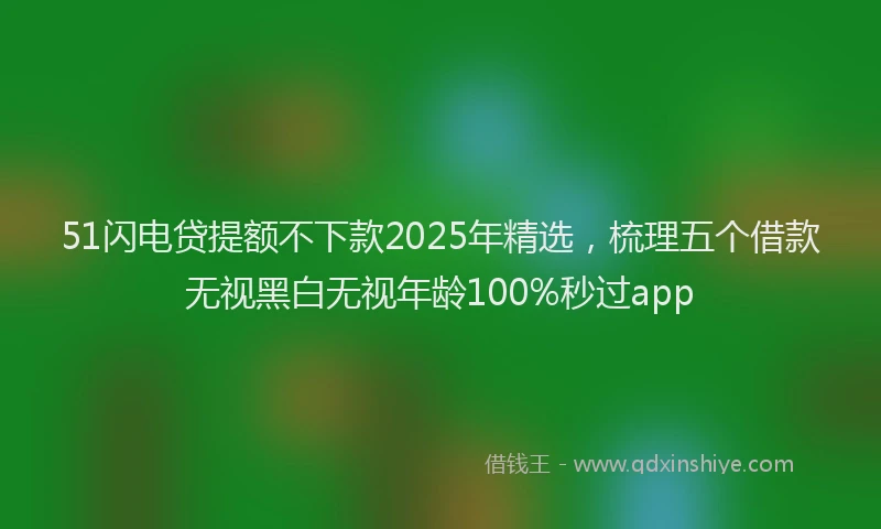 51闪电贷提额不下款2025年精选，梳理五个借款无视黑白无视年龄100%秒过app