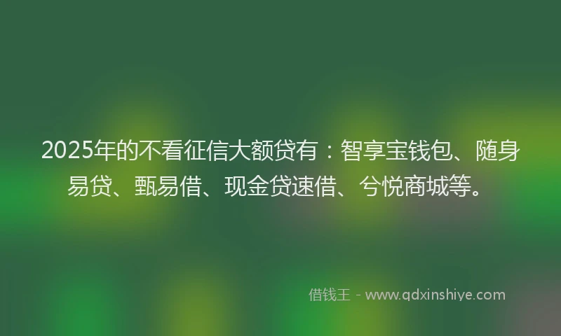 2025年的不看征信大额贷有：智享宝钱包、随身易贷、甄易借、现金贷速借、兮悦商城等。