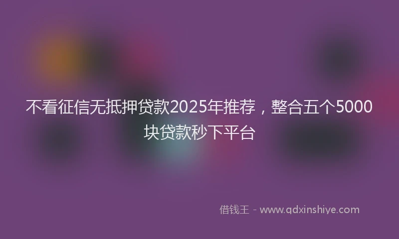 不看征信无抵押贷款2025年推荐，整合五个5000块贷款秒下平台
