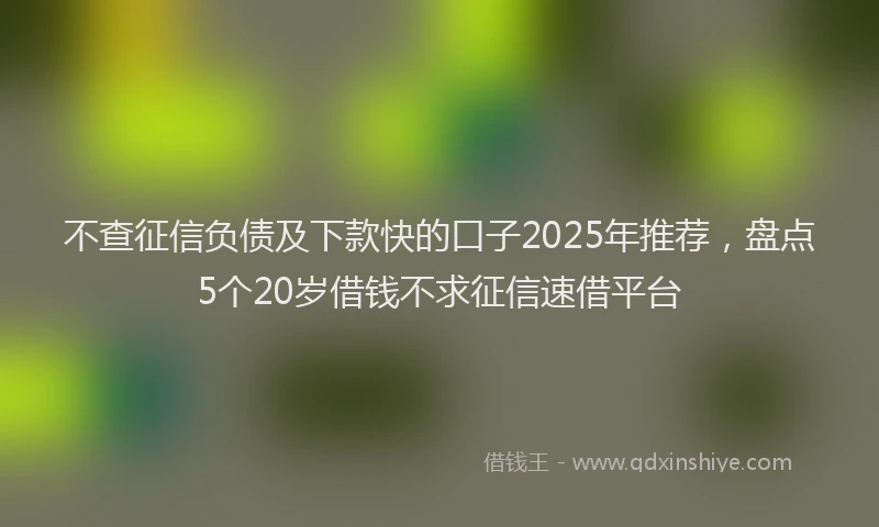 不查征信负债及下款快的口子2025年推荐，盘点5个20岁借钱不求征信速借平台