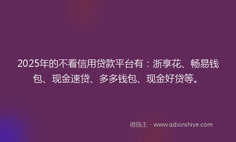 2025年的不看信用贷款平台有：浙享花、畅易钱包、现金速贷、多多钱包、现金好贷等。