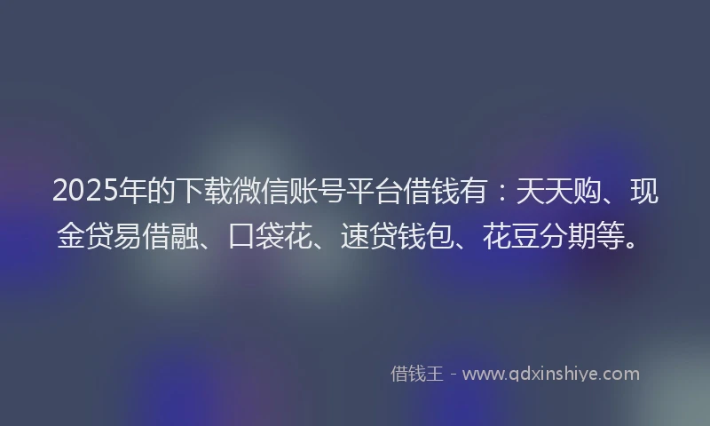 2025年的下载微信账号平台借钱有：天天购、现金贷易借融、口袋花、速贷钱包、花豆分期等。