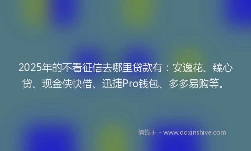 2025年的不看征信去哪里贷款有：安逸花、臻心贷、现金侠快借、迅捷Pro钱包、多多易购等。