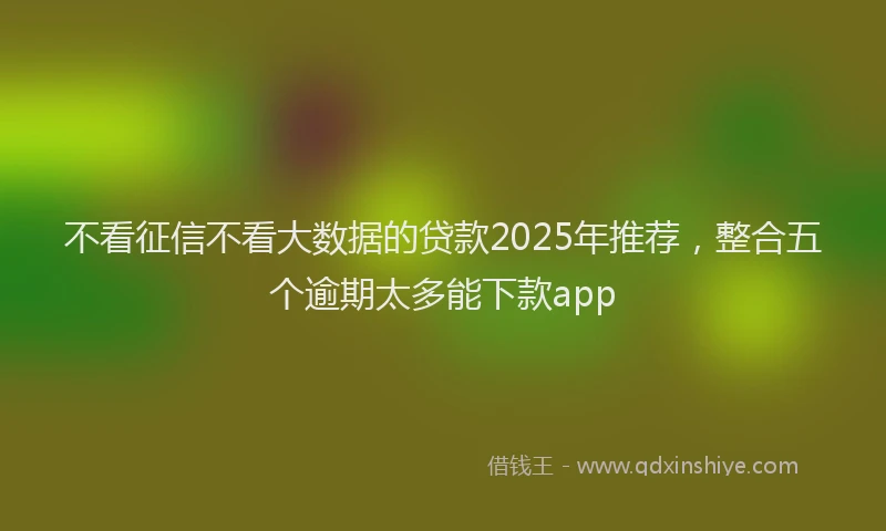 不看征信不看大数据的贷款2025年推荐，整合五个逾期太多能下款app