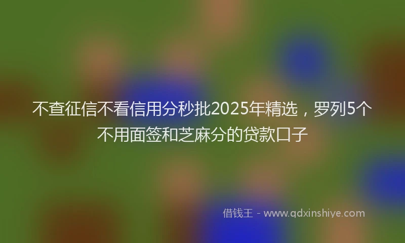 不查征信不看信用分秒批2025年精选，罗列5个不用面签和芝麻分的贷款口子