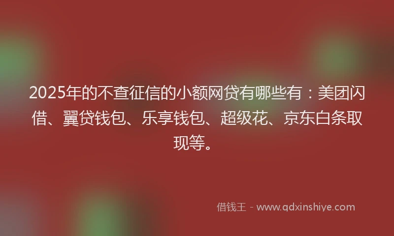 2025年的不查征信的小额网贷有哪些有：美团闪借、翼贷钱包、乐享钱包、超级花、京东白条取现等。