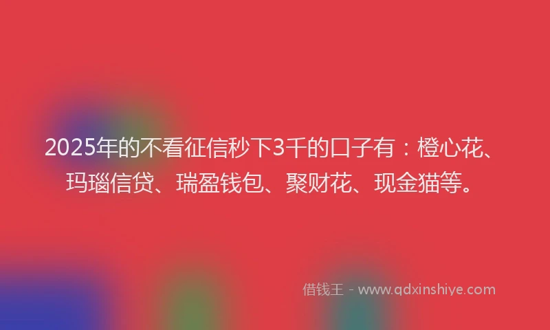 2025年的不看征信秒下3千的口子有：橙心花、玛瑙信贷、瑞盈钱包、聚财花、现金猫等。