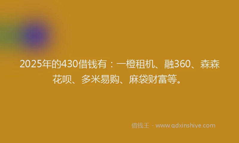 2025年的430借钱有：一橙租机、融360、森森花呗、多米易购、麻袋财富等。