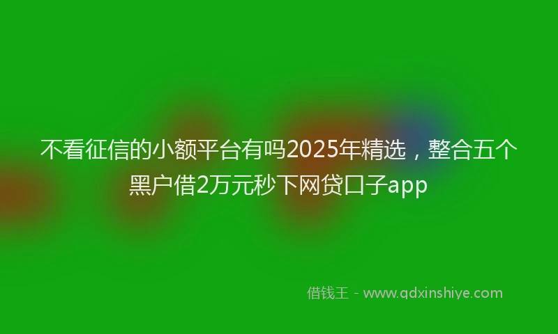 不看征信的小额平台有吗2025年精选，整合五个黑户借2万元秒下网贷口子app