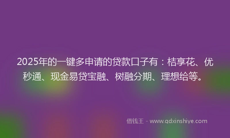 2025年的一键多申请的贷款口子有：桔享花、优秒通、现金易贷宝融、树融分期、理想给等。