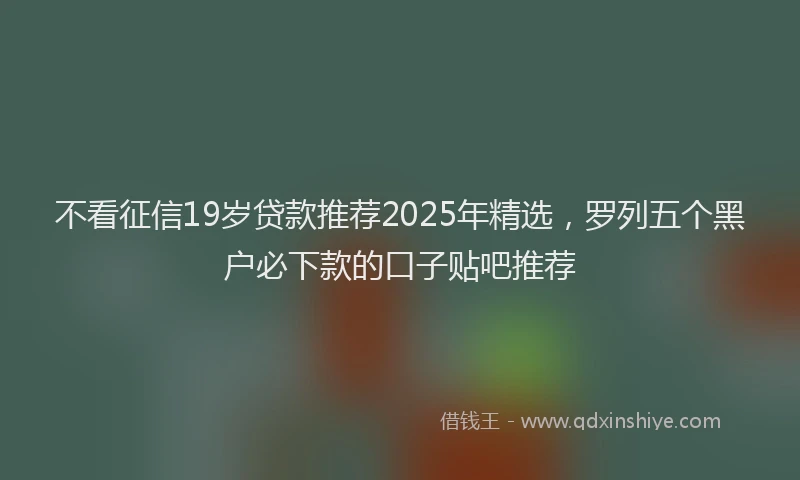 不看征信19岁贷款推荐2025年精选，罗列五个黑户必下款的口子贴吧推荐
