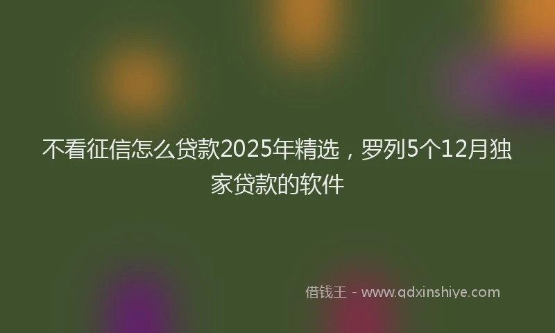 不看征信怎么贷款2025年精选，罗列5个12月独家贷款的软件