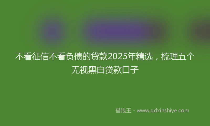 不看征信不看负债的贷款2025年精选，梳理五个无视黑白贷款口子