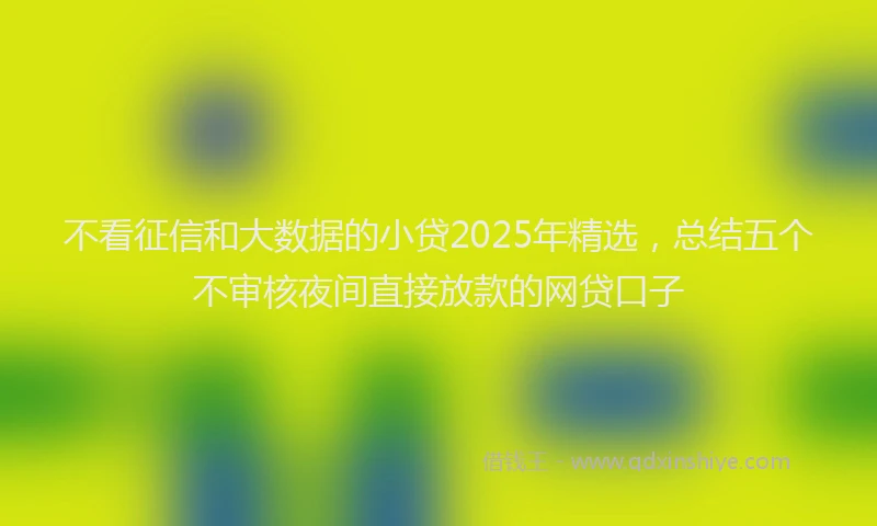 不看征信和大数据的小贷2025年精选，总结五个不审核夜间直接放款的网贷口子