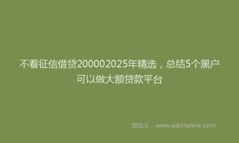 不看征信借贷200002025年精选，总结5个黑户可以做大额贷款平台