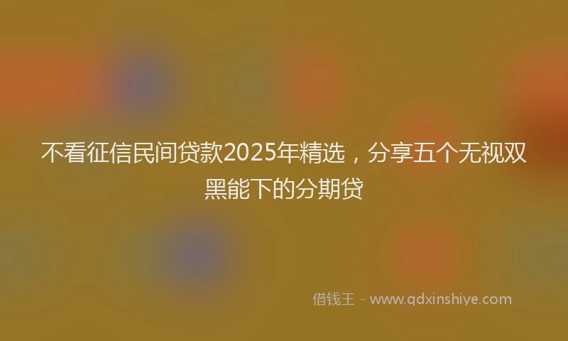 不看征信民间贷款2025年精选，分享五个无视双黑能下的分期贷