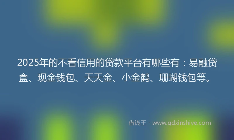 2025年的不看信用的贷款平台有哪些有：易融贷盒、现金钱包、天天金、小金鹤、珊瑚钱包等。
