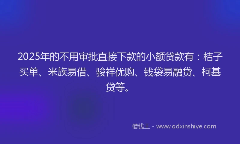 2025年的不用审批直接下款的小额贷款有：桔子买单、米族易借、骏祥优购、钱袋易融贷、柯基贷等。