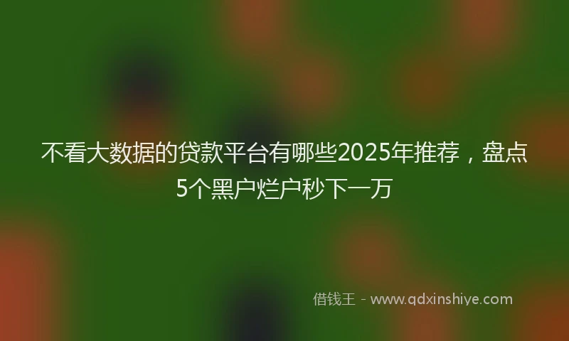 不看大数据的贷款平台有哪些2025年推荐，盘点5个黑户烂户秒下一万