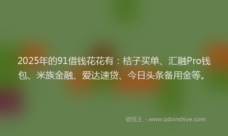 2025年的91借钱花花有：桔子买单、汇融Pro钱包、米族金融、爱达速贷、今日头条备用金等。