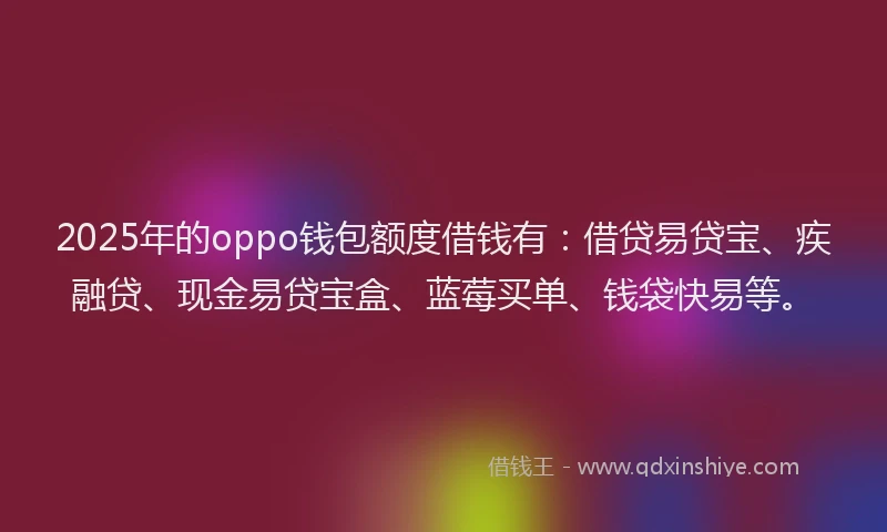 2025年的oppo钱包额度借钱有：借贷易贷宝、疾融贷、现金易贷宝盒、蓝莓买单、钱袋快易等。
