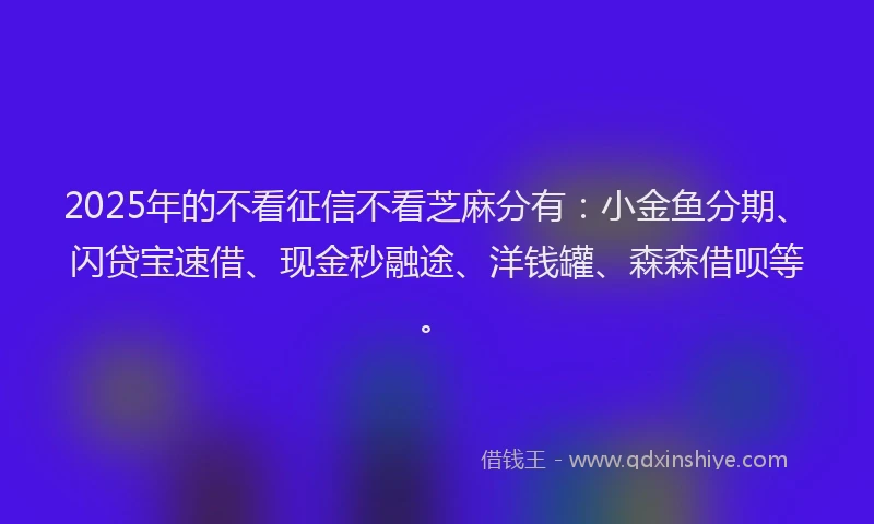 2025年的不看征信不看芝麻分有：小金鱼分期、闪贷宝速借、现金秒融途、洋钱罐、森森借呗等。