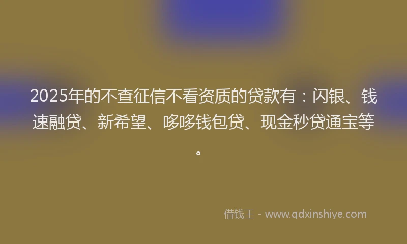 2025年的不查征信不看资质的贷款有：闪银、钱速融贷、新希望、哆哆钱包贷、现金秒贷通宝等。