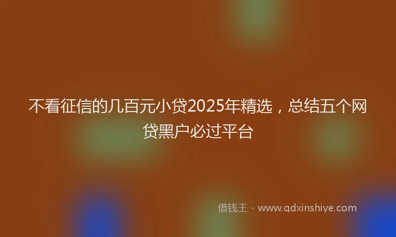 不看征信的几百元小贷2025年精选，总结五个网贷黑户必过平台