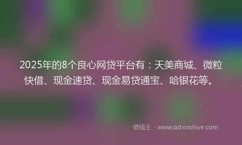2025年的8个良心网贷平台有：天美商城、微粒快借、现金速贷、现金易贷通宝、哈银花等。
