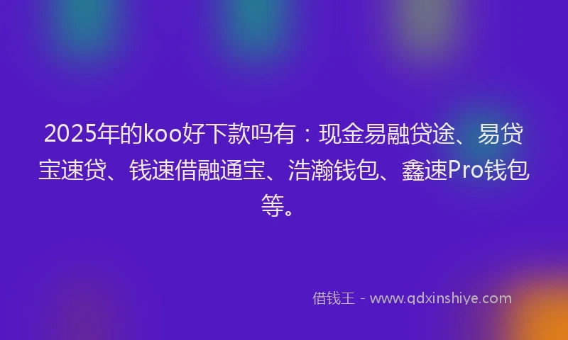2025年的koo好下款吗有：现金易融贷途、易贷宝速贷、钱速借融通宝、浩瀚钱包、鑫速Pro钱包等。