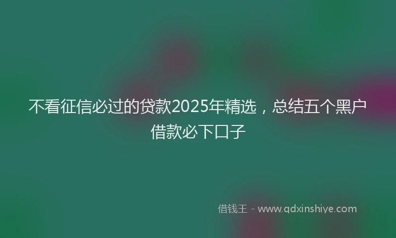 不看征信必过的贷款2025年精选，总结五个黑户借款必下口子