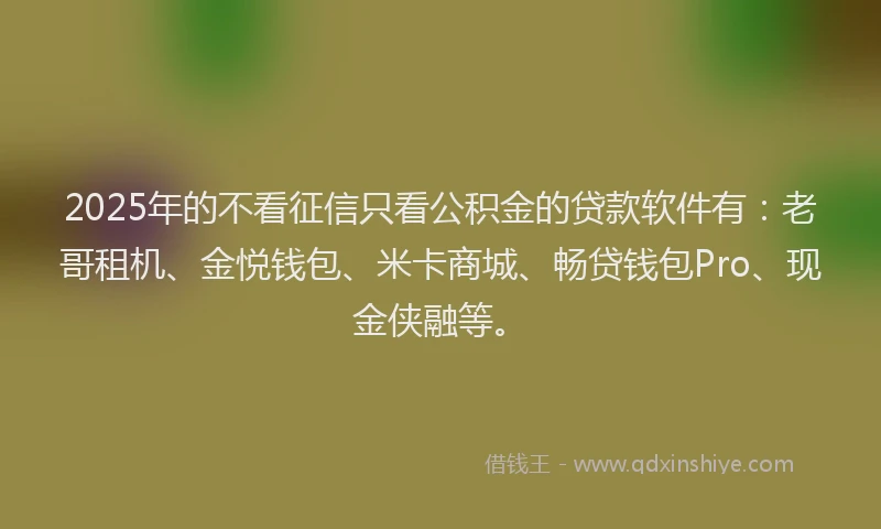 2025年的不看征信只看公积金的贷款软件有：老哥租机、金悦钱包、米卡商城、畅贷钱包Pro、现金侠融等。
