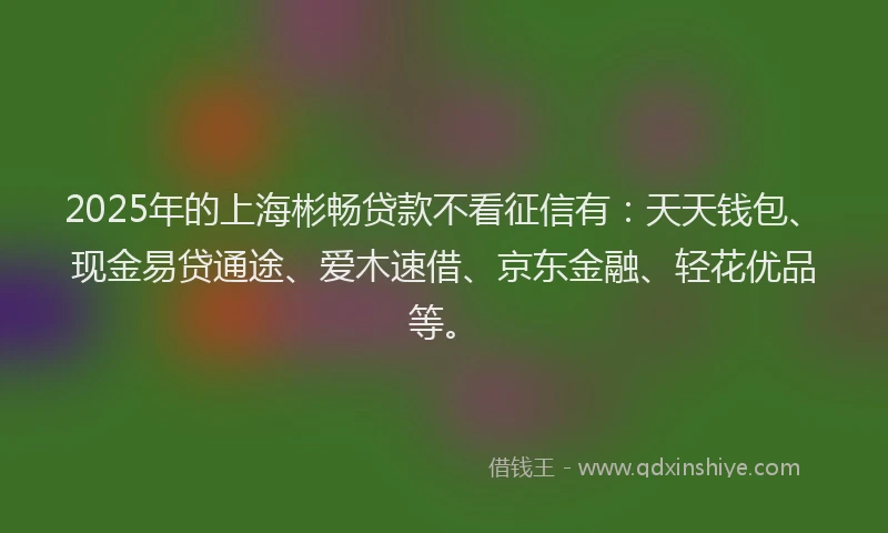 2025年的上海彬畅贷款不看征信有：天天钱包、现金易贷通途、爱木速借、京东金融、轻花优品等。