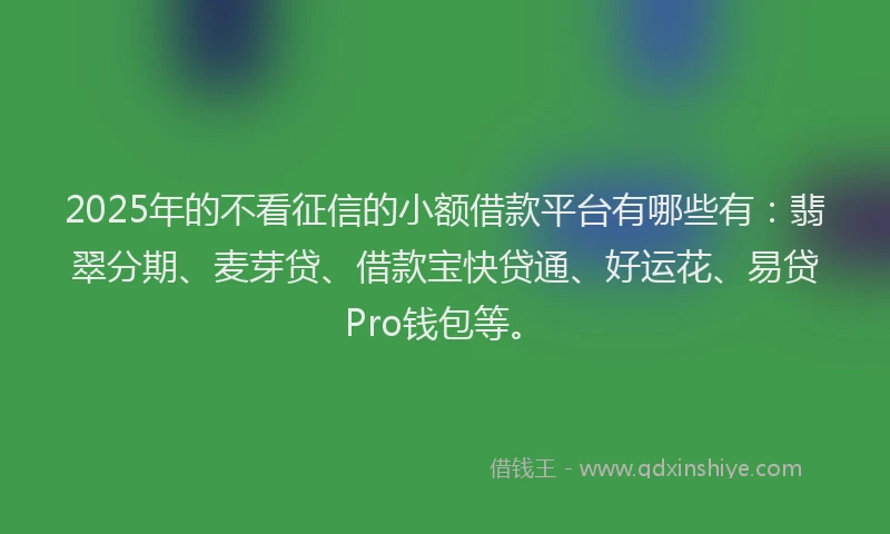 2025年的不看征信的小额借款平台有哪些有：翡翠分期、麦芽贷、借款宝快贷通、好运花、易贷Pro钱包等。