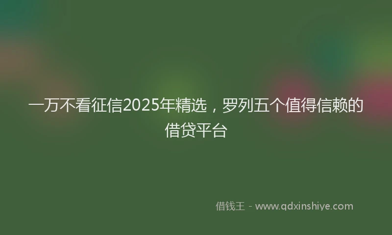 一万不看征信2025年精选，罗列五个值得信赖的借贷平台
