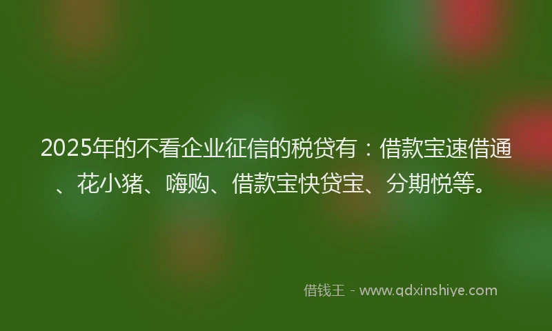 2025年的不看企业征信的税贷有：借款宝速借通、花小猪、嗨购、借款宝快贷宝、分期悦等。