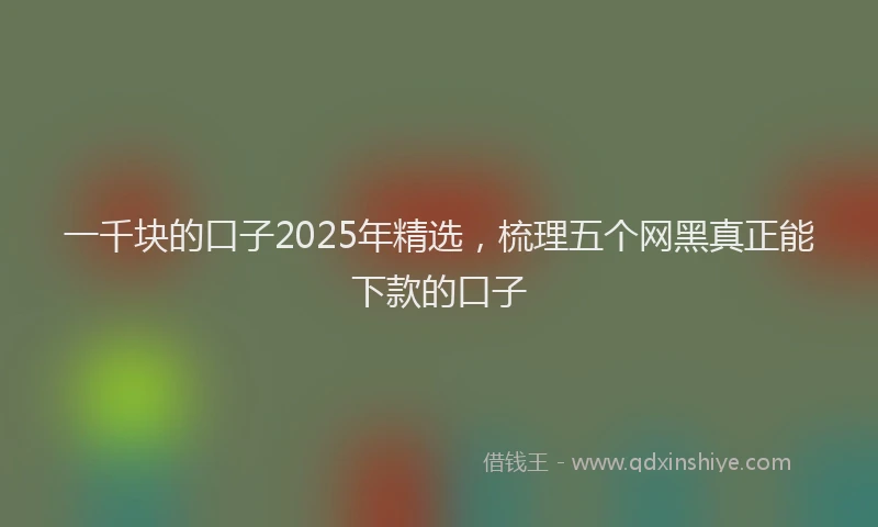 一千块的口子2025年精选，梳理五个网黑真正能下款的口子
