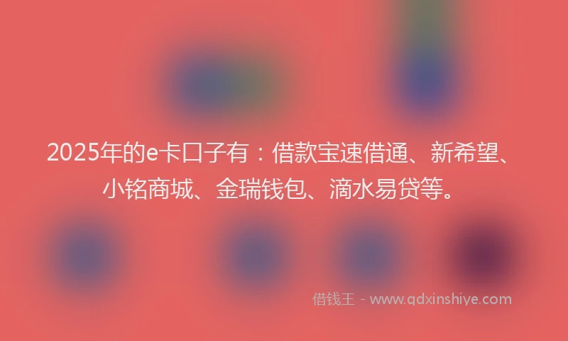 2025年的e卡口子有：借款宝速借通、新希望、小铭商城、金瑞钱包、滴水易贷等。