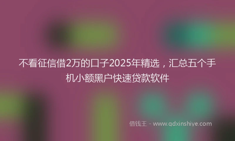 不看征信借2万的口子2025年精选，汇总五个手机小额黑户快速贷款软件