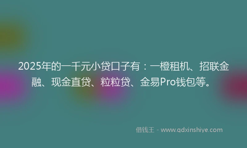 2025年的一千元小贷口子有：一橙租机、招联金融、现金直贷、粒粒贷、金易Pro钱包等。
