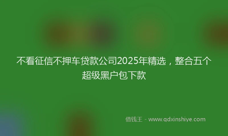 不看征信不押车贷款公司2025年精选，整合五个超级黑户包下款