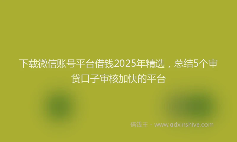 下载微信账号平台借钱2025年精选，总结5个审贷口子审核加快的平台