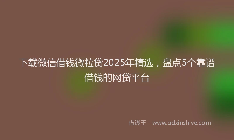 下载微信借钱微粒贷2025年精选，盘点5个靠谱借钱的网贷平台