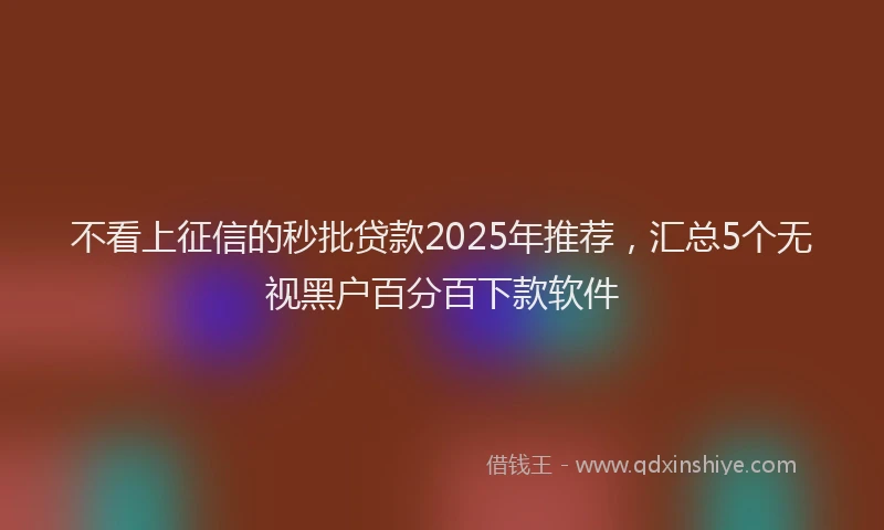 不看上征信的秒批贷款2025年推荐，汇总5个无视黑户百分百下款软件