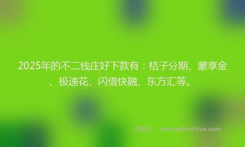 2025年的不二钱庄好下款有：桔子分期、蒙享金、极速花、闪借快融、东方汇等。