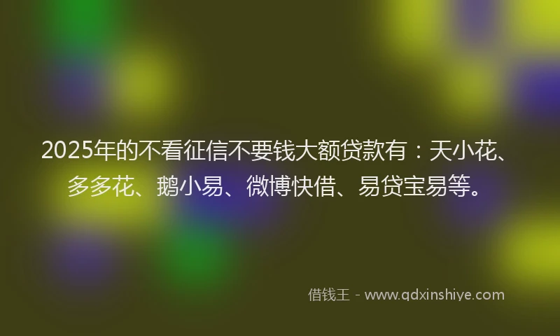 2025年的不看征信不要钱大额贷款有：天小花、多多花、鹅小易、微博快借、易贷宝易等。
