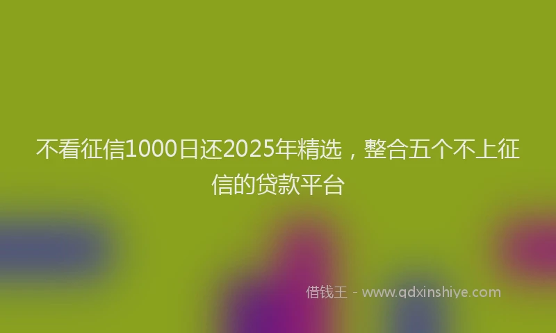 不看征信1000日还2025年精选，整合五个不上征信的贷款平台