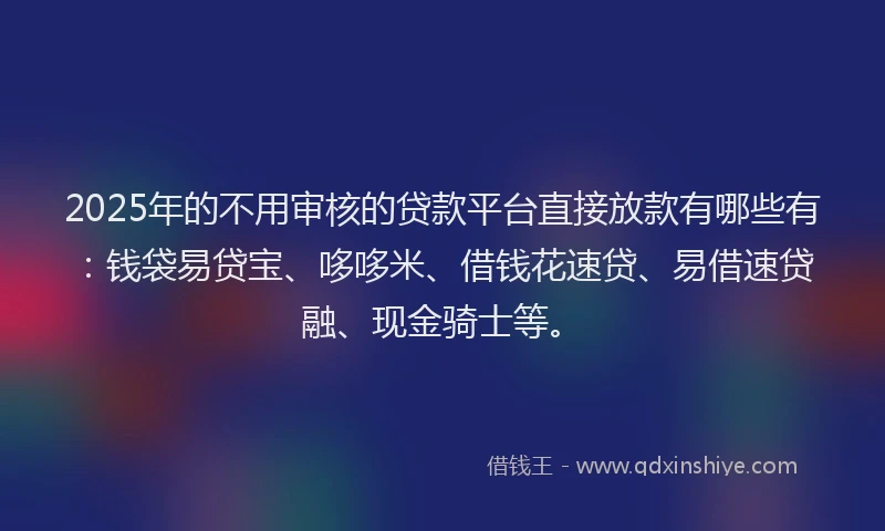 2025年的不用审核的贷款平台直接放款有哪些有：钱袋易贷宝、哆哆米、借钱花速贷、易借速贷融、现金骑士等。